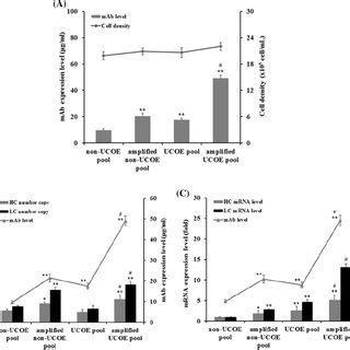 Effects Of UCOE On MAb Expression Level In MAb Producing Clones The