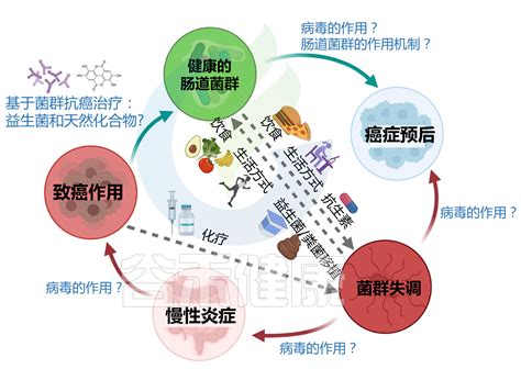 肠道微生物群与五种癌症的相互作用：致癌 治疗 预后 哔哩哔哩