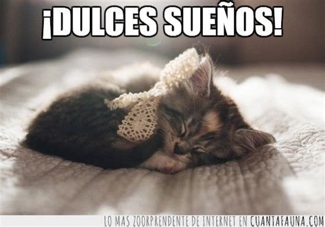 Imagenes Buenas Noches Gatitos Tiernos Durmiendo Dulces Sue Os