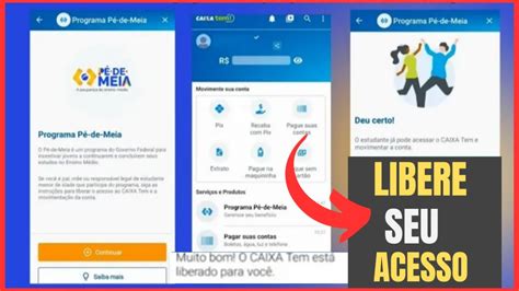 Caixa Tem P De Meia Como Liberar A Conta Do Aluno Para Receber Sem