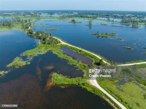 21 Seney National Wildlife Refuge Stock Photos, High-Res Pictures, and ...