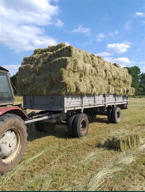 Siano Kostka Snopek Ciuk Ekologiczne Wczesne Suche Pachn Ce Transport