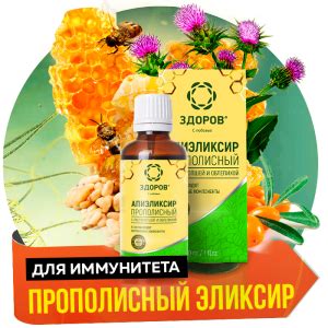 Купить эликсир ЗДОРОВ для иммунитета и от герпеса на официальном сайте