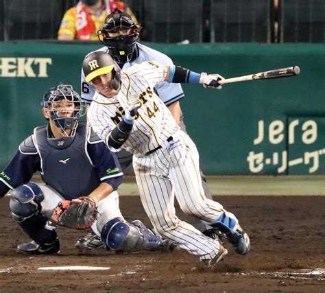 阪神梅野が攻守に存在感 規定到達で打率チーム首位 プロ野球写真ニュース 日刊スポーツ