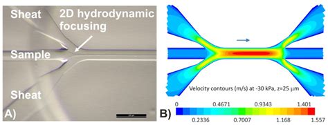 2d Hydrodynamic Focusing On The Planar Microflow Cytometric System