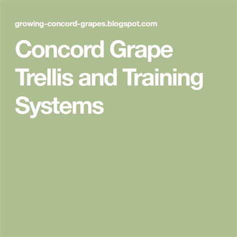 Concord Grape Trellis and Training Systems | Grape trellis, Trellis, Grapes