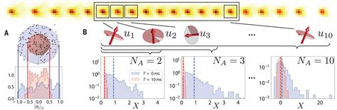 Probing Rényi Entanglement Entropy Via Randomized Measurements Science