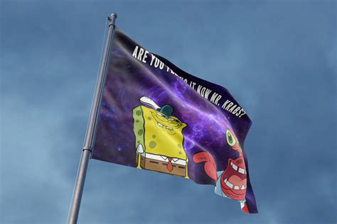 Are You Feeling Now Mr Krabs Rave Flag Rave Bonfire