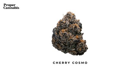 Cherry Cosmo Strain Proper Cannabis