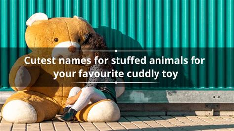 600+ cutest names for stuffed animals for your favourite cuddly toy ...