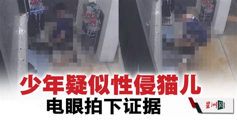 Sin Chew Daily 星洲日報 On Twitter 一名少年在新加坡武吉班让组屋疑似性侵猫儿，全程遭电眼拍下证据。 星洲日报