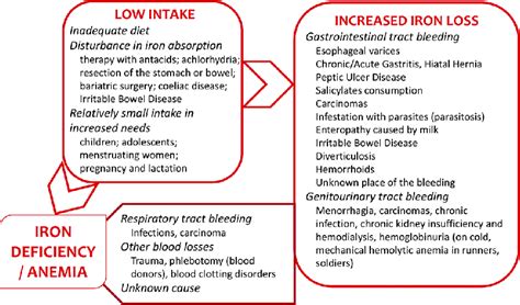 Stages Of Iron Deficiency Anemia