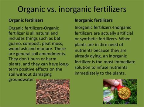 Fertilizers The Chemistry Behind It