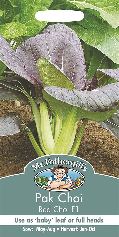 Mr Fothergills Pictorial Packet Vegetable Pak Choi Red Choi F1