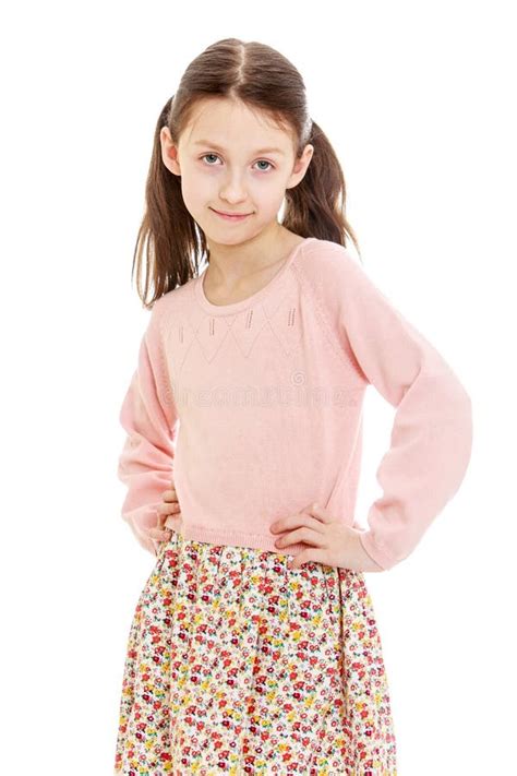 A perky little deer stock photo. Image of perky, wild - 237539574