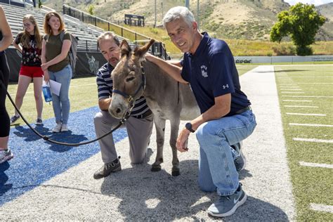 Meet The Donkeys Who Duked It Out To Become The New, Long Face Of The ...