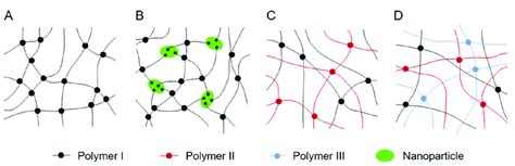 Schematic Representation Of Hydrogel Network Structures A Single