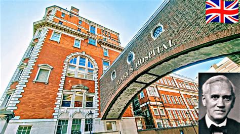 st marys childrens hospital london - Ardell Stephenson