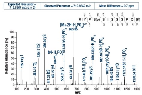 Ptmscan Control Peptides Phospho Akt Rxxs T Cell Signaling