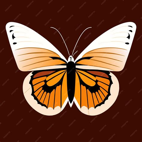 Arte Vectorial De Mariposas Para Uso Versátil Vector Premium