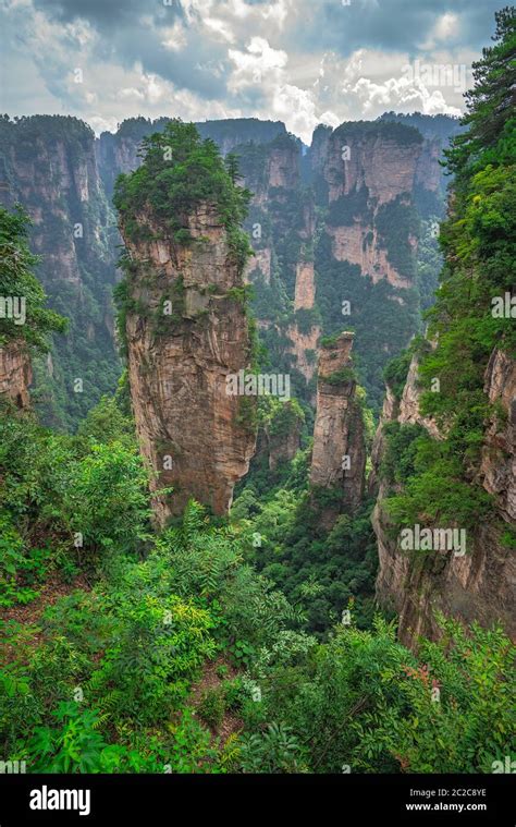 Heaven Pillar Hallelujah Mountain In Tianzi Mountain Range Avatar