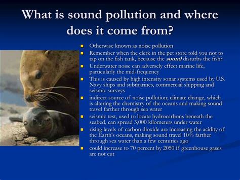 PPT - Sound Pollution PowerPoint Presentation, free download - ID:1285953