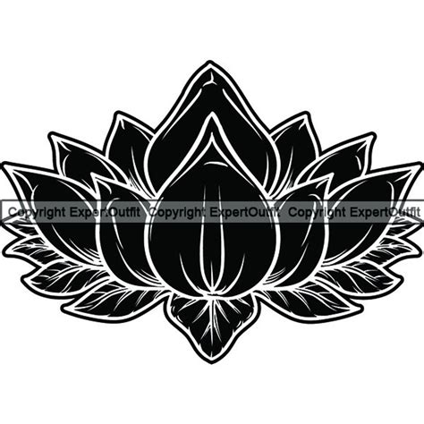 Lotus Flower 5 Nature Garden Floral Blossom Plant Grow Pedal Etsy