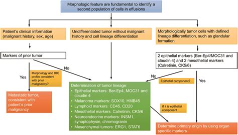 The International System For Reporting Serous Fluid Cytopathology—an Updated Review