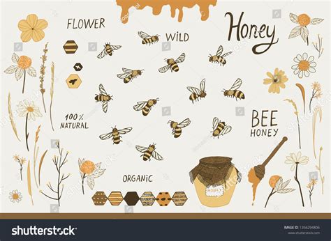 Set Bee Honey Vector Illustration เวกเตอร์สต็อก ปลอดค่าลิขสิทธิ์