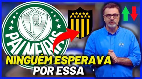 Saiu Agora Domingo Agitado No Palemiras Noticias Do Palmeiras Youtube