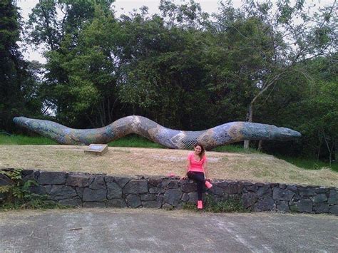 THE 15 BEST Things to Do in Xalapa - 2023 (with Photos) - Tripadvisor