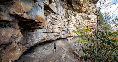 New River Gorge National Park – Earth Trekkers