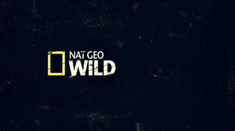 Nat Geo Wild Logo