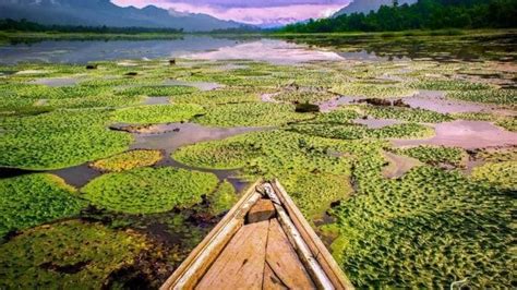 Chandubi Lake : Nature Trip To Escape Guwahati City