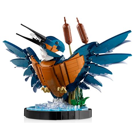 LEGO ICONS 2024 סט 10331 Kingfisher מקוון בחנות HOTH BRICKS