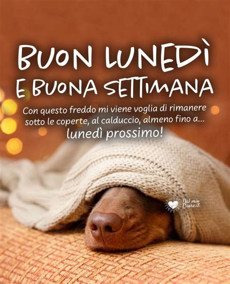 Buon Luned Maggio Frasi Immagini Nuove Del Buongiorno