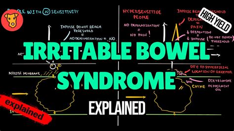 Irritable Bowel Syndrome Pathogenesis Ibs Rome 4 Criteria Treatment