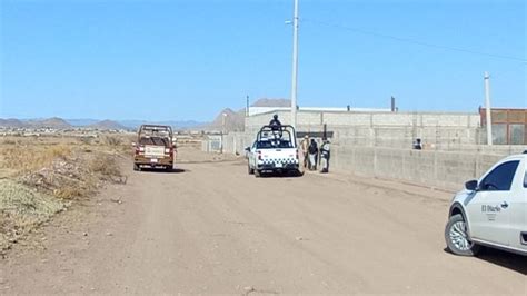 Encuentran Toma Clandestina De Pemex Dentro De Una Granja Voz En Red