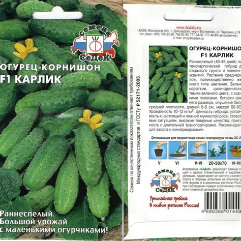 Огурец Карлик F1