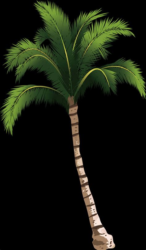 Download Tropical Coconut Tree Illustration