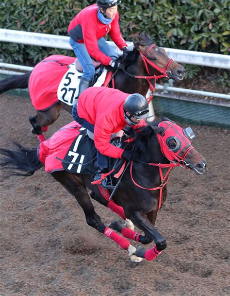 【播磨の日曜競馬コラム・共同通信杯】 日刊ゲンダイ競馬