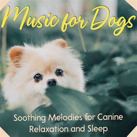 ‎Music for Dogs - Soothing Melodies for Canine Relaxation and Sleep ...