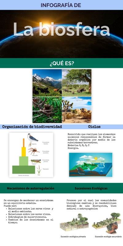 La Biosfera Infografía