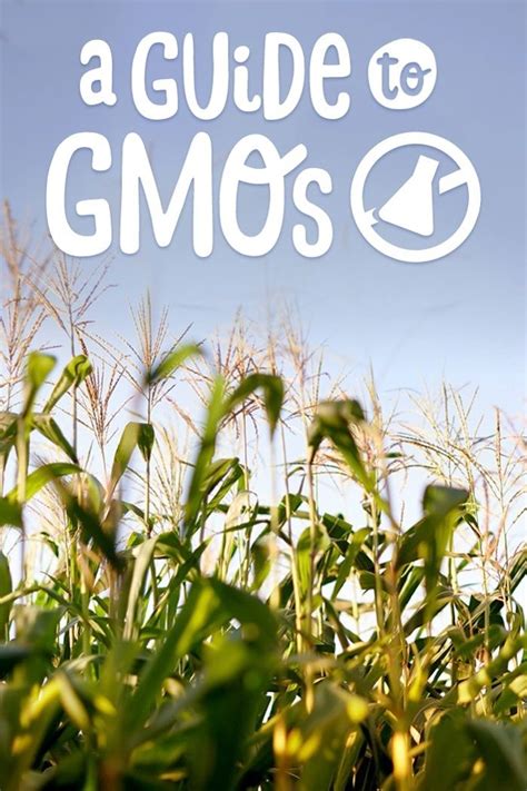 Guide To Gmo Foods Understanding Genetically Modified Organisms