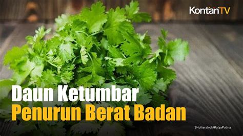 Bernarkah Daun Ketumbar Bisa Menurunkan Berat Badan Simak Cara