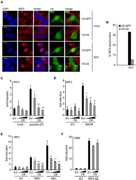 C Inhibits The Nuclear Translocation And Activation Of Irf A