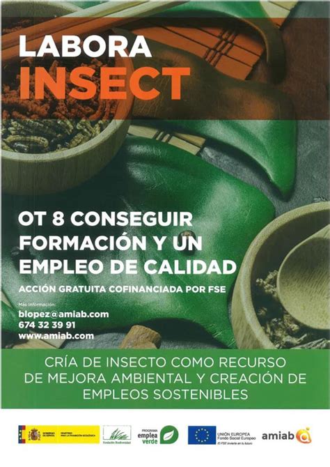 Albacete Acoger Un Curso De Formaci N De Cr A De Insectos Para