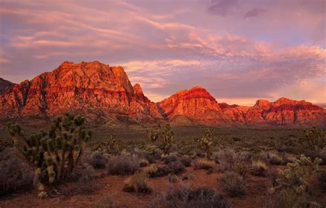 Wallpaper mountains, rocks, desert, Las Vegas, glow, USA, Nevada, Red ...