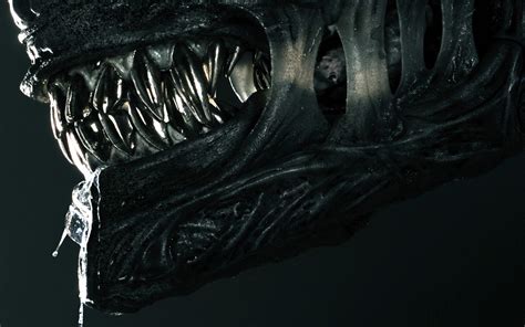 Tres nuevas imágenes del Xenomorfo de Alien Romulus Aristegui Noticias