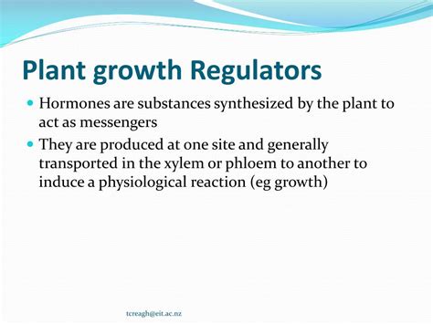 Ppt Plant Growth Regulators Buds And Bud Initiation Powerpoint